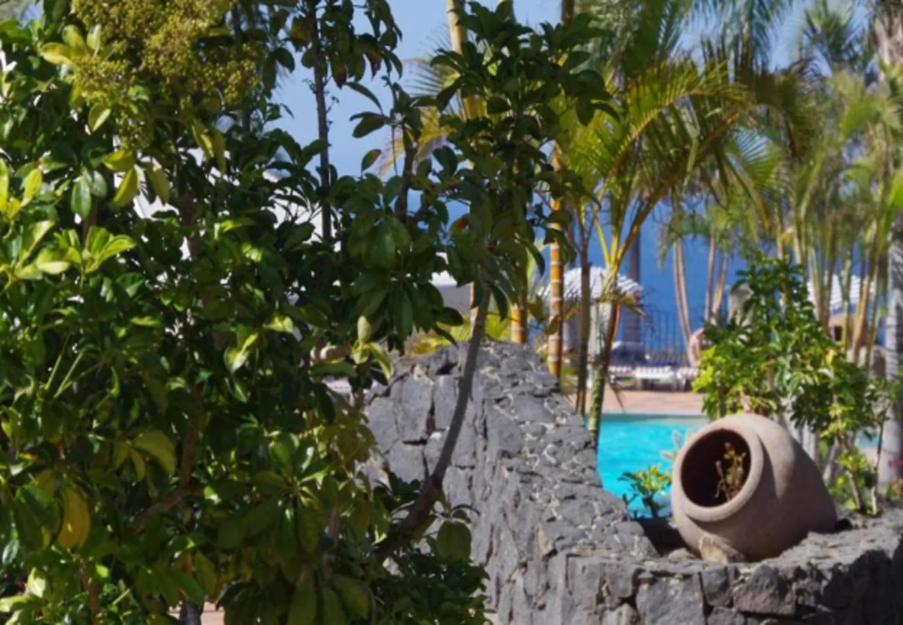 Tu Escapada De Ensueno Con Piscina Y Jardines شقة لوس رياليخوس